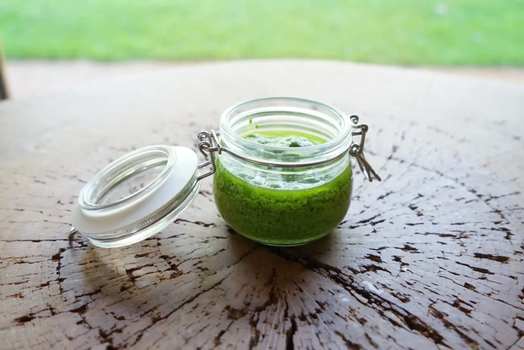 Koriander Pesto Rezept - the pasta kitchen